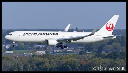 8048170 JapanAirlines B767-300W JA607J  NRT 17112016