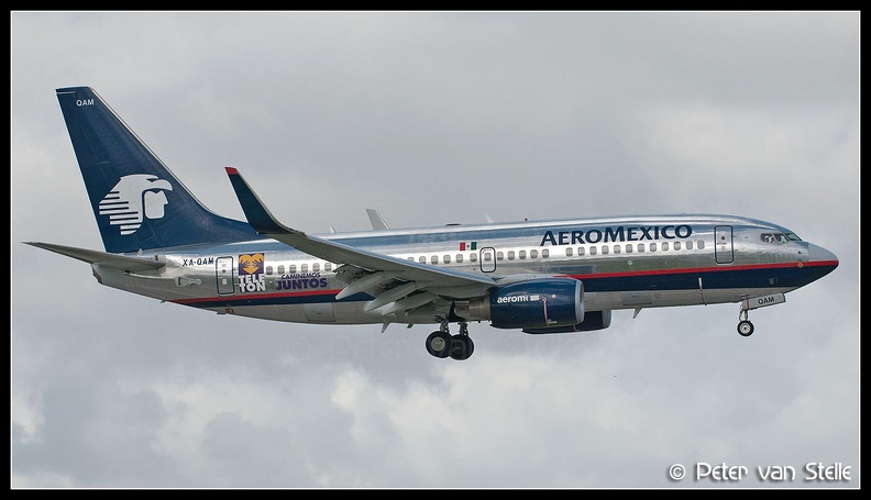 3016356_Aeromexico_B737-700W_XA-GAM_MIA_15112011.jpg
