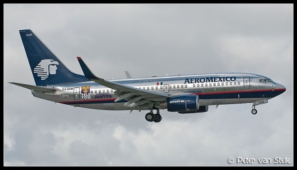3016356 Aeromexico B737-700W XA-GAM MIA 15112011