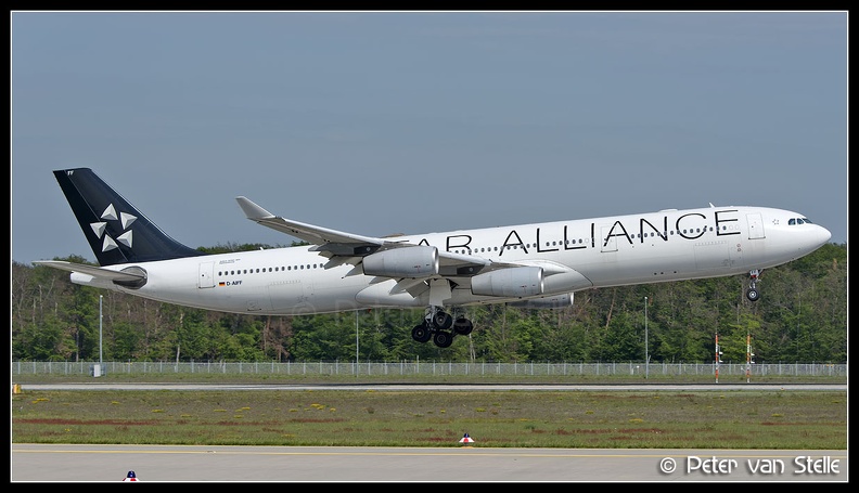 8073392_Lufthansa_A330-300_D-AIFF_StarAlliance-colours_FRA_18052019_Q2.jpg