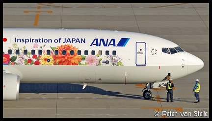 8047078 ANA B737-800W JA85AN Flowerjet-colours-nose NGO 16112016