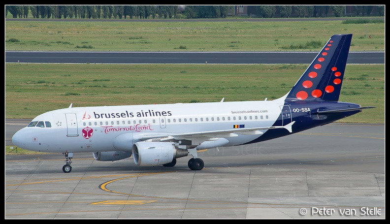 8005302_BrusselsAirlines_A319_OO-SSA_Tomorrowland-stickers_BRU_17082013.jpg