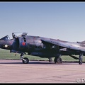 19801407 RAF HARRIER XZ134(AJ)  EHDP 20091980